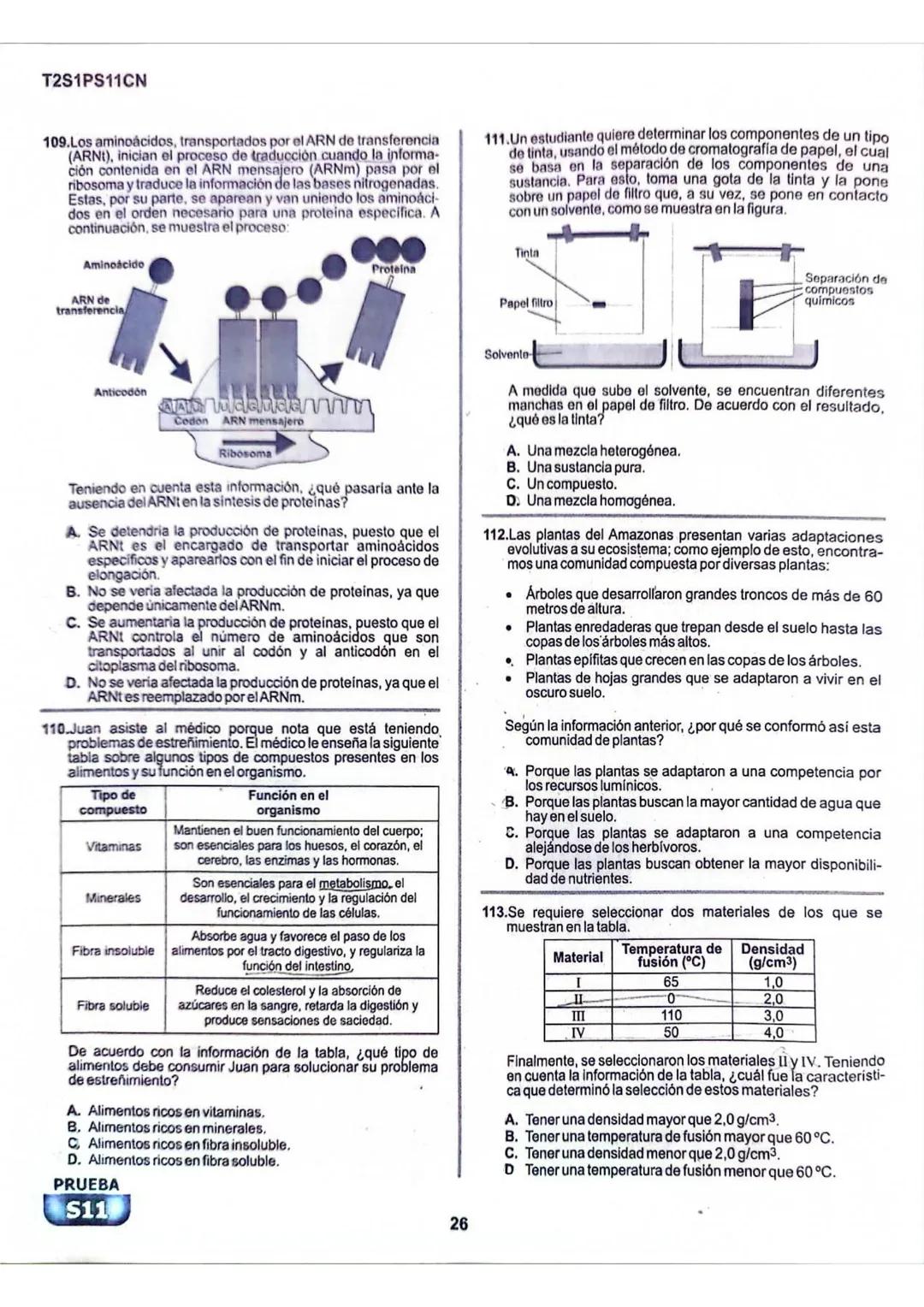 La
Evaluación
S11
Evaluación por Desempeño en Competencias
Primera sesión
En el siguiente cuadro se muestran las pruebas que conforman el ex