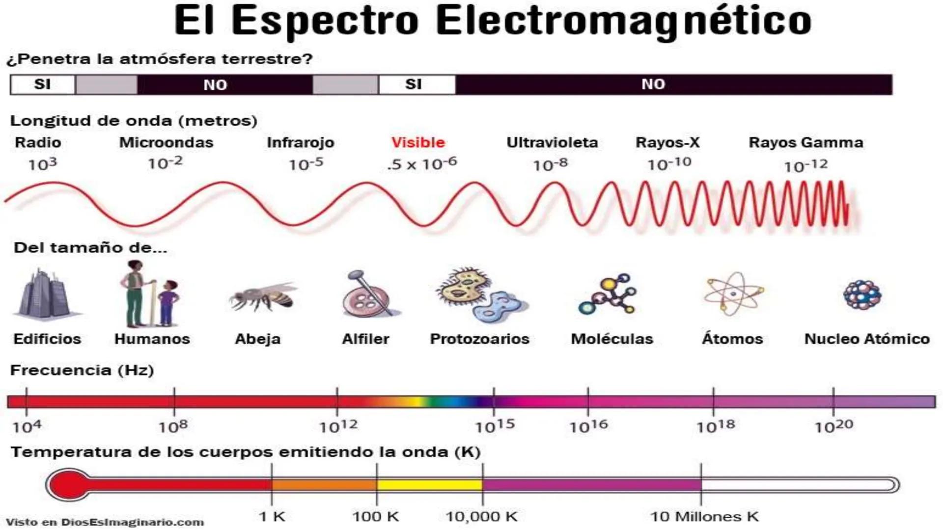 Fw
F
N
Mg
F
me² física
ALEJANDRO ORTIZ SUAREZ
E=mg
B(x)
Ke u
00
B ¿QUÉ ES LA FÍSICA?
Matemáticas
Astronomía
Biología
Tecnología
FISICA
Depor