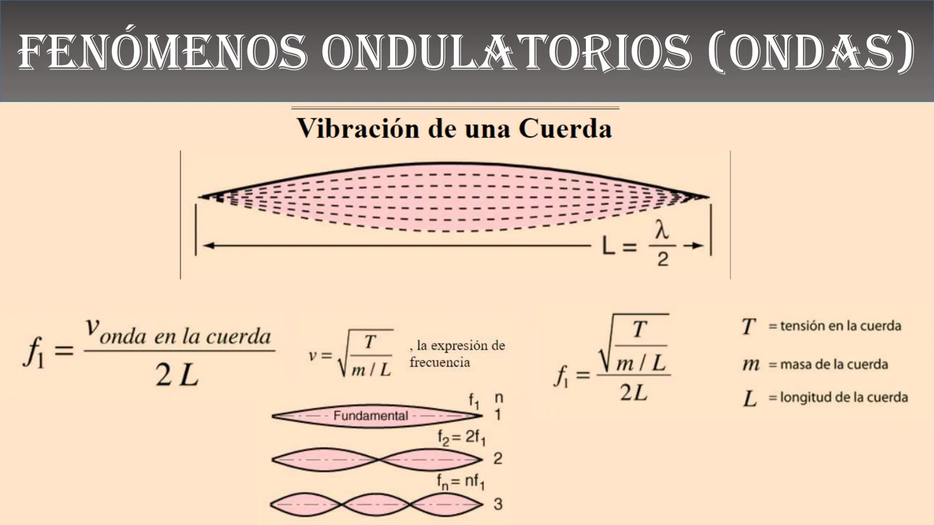 Fw
F
N
Mg
F
me² física
ALEJANDRO ORTIZ SUAREZ
E=mg
B(x)
Ke u
00
B ¿QUÉ ES LA FÍSICA?
Matemáticas
Astronomía
Biología
Tecnología
FISICA
Depor