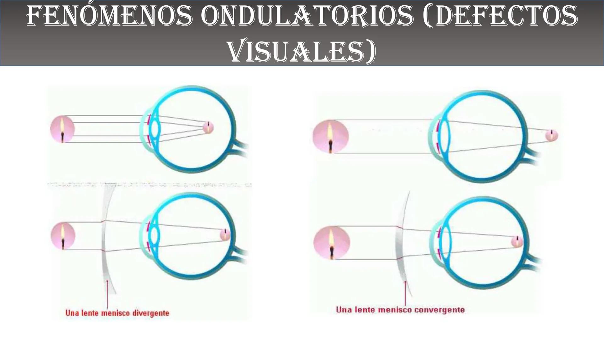 Fw
F
N
Mg
F
me² física
ALEJANDRO ORTIZ SUAREZ
E=mg
B(x)
Ke u
00
B ¿QUÉ ES LA FÍSICA?
Matemáticas
Astronomía
Biología
Tecnología
FISICA
Depor