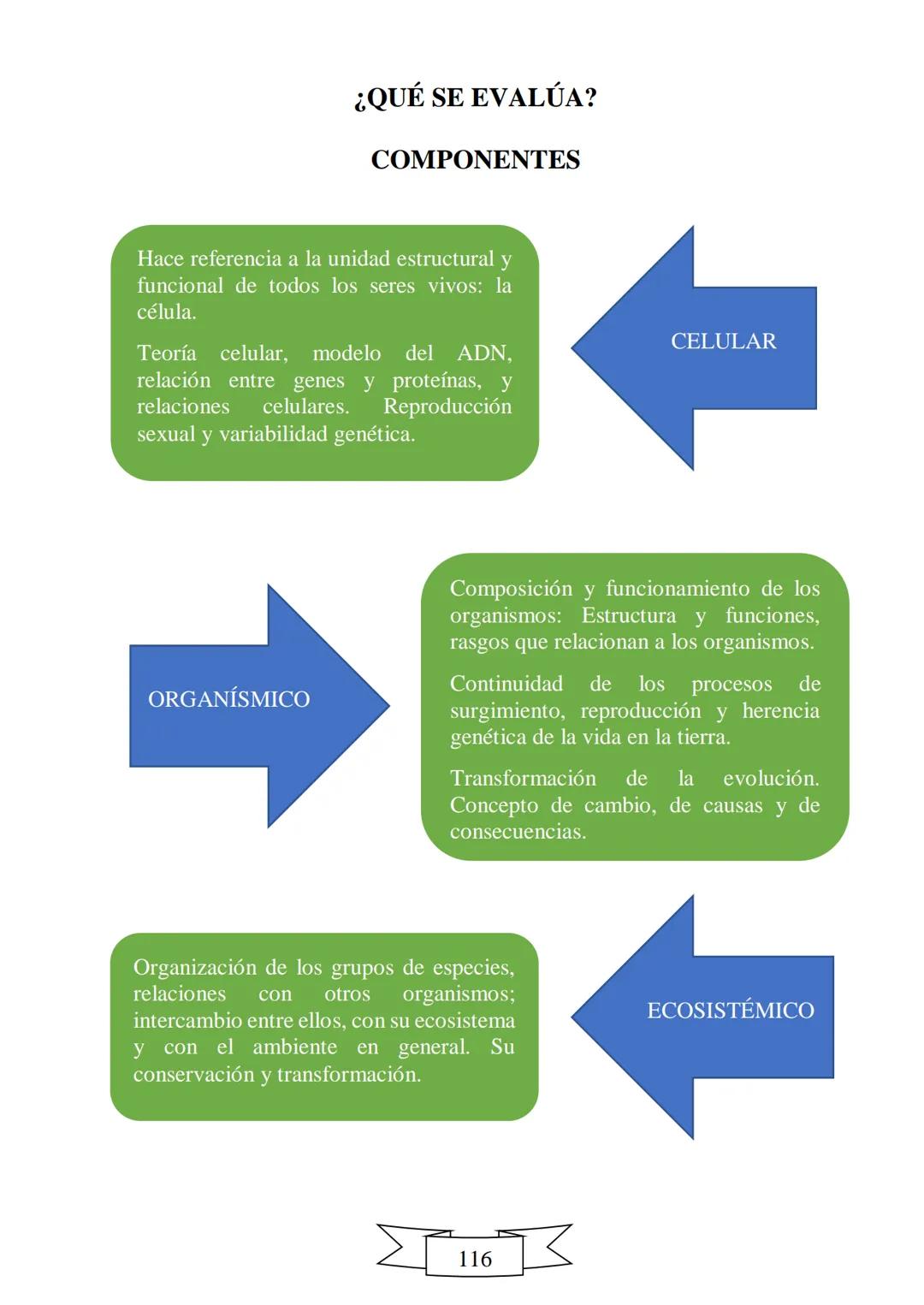 CUADERNILLO DE PREPARACIÓN
PARA LA PRUEBA DE ESTADO
SABER 11
"La educación es el arma más
poderosa que puedes utilizar para
cambiar el mundo
