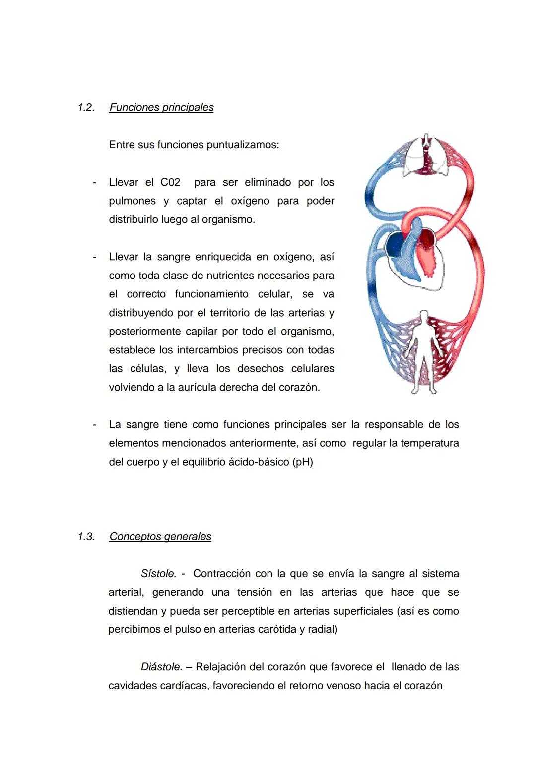 EL SISTEMA CARDIO - RESPIRATORIO
Como todas las capacidades del cuerpo, nuestro organismo depende de
la interacción de muchas de sus partes