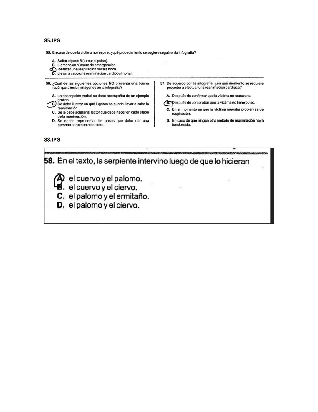 1.JPG
4. La gráfica muestra el porcentaje de ventas del último año de
una empresa de álbumes musicales en tres idiomas: inglés,
francés y es
