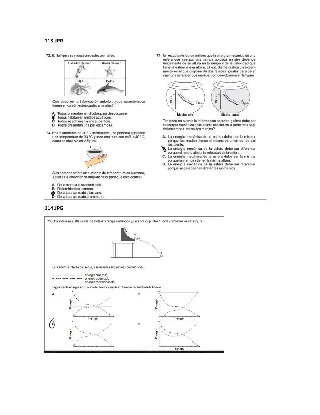 1.JPG
4. La gráfica muestra el porcentaje de ventas del último año de
una empresa de álbumes musicales en tres idiomas: inglés,
francés y es
