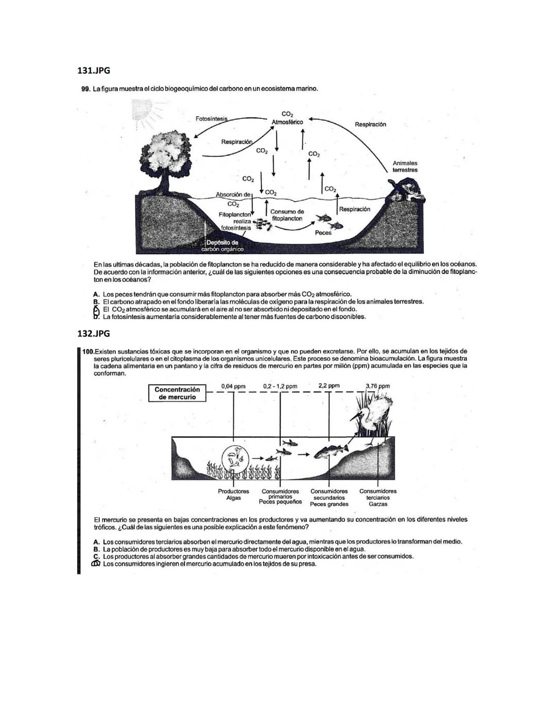 1.JPG
4. La gráfica muestra el porcentaje de ventas del último año de
una empresa de álbumes musicales en tres idiomas: inglés,
francés y es