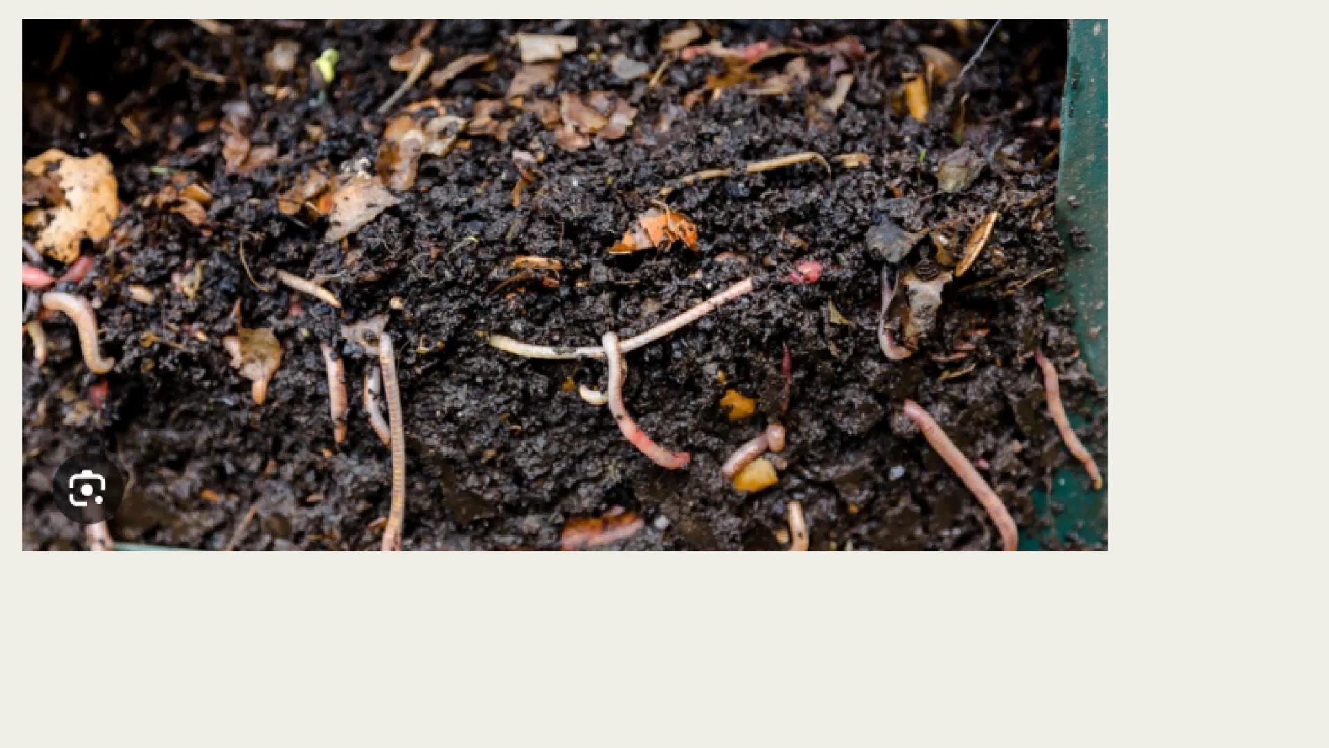 Residuos sólidos POR QUÉ ES DE IMPORTANCIA AMBIENTAL? Un mundo de residuos
Desechos sólidos municipales generados per cápita al año
Menos de