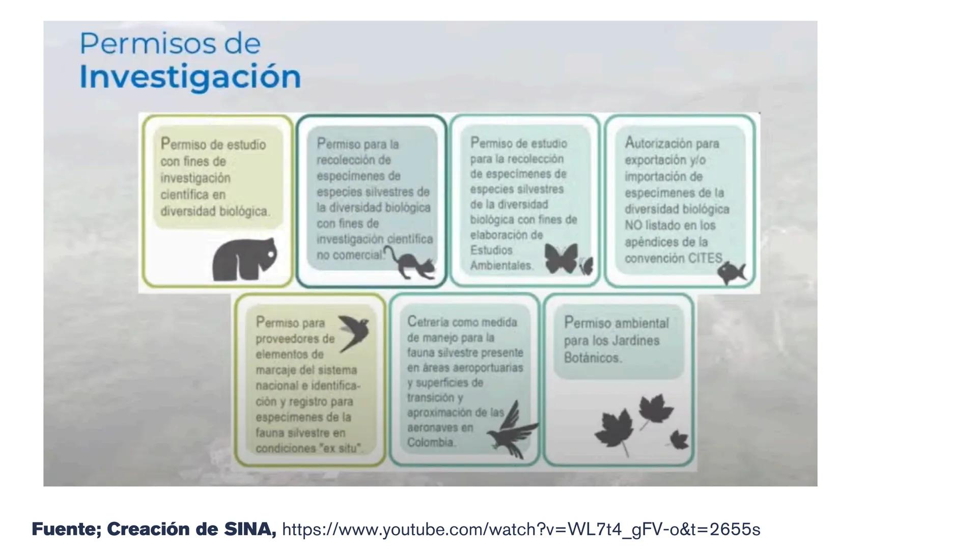 # LEGISLACIÓN
# AMBIENTAL CONSTITUCIÓN POLÍTICA DE COLOMBIA - 1991
La Constitución de 1991 sentó las bases del derecho
ambiental en Colombi