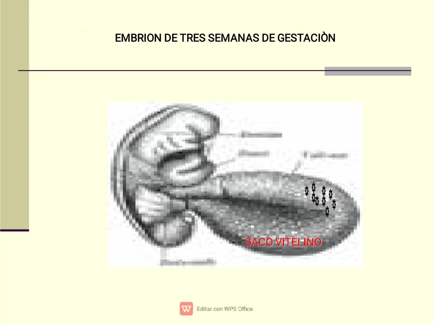 Culpar a los demás es un
truco muy sencillo...
...cuando no quiero asumir la
responsabilidad de mis
propios actos.
✔ Editar con WPS Office U