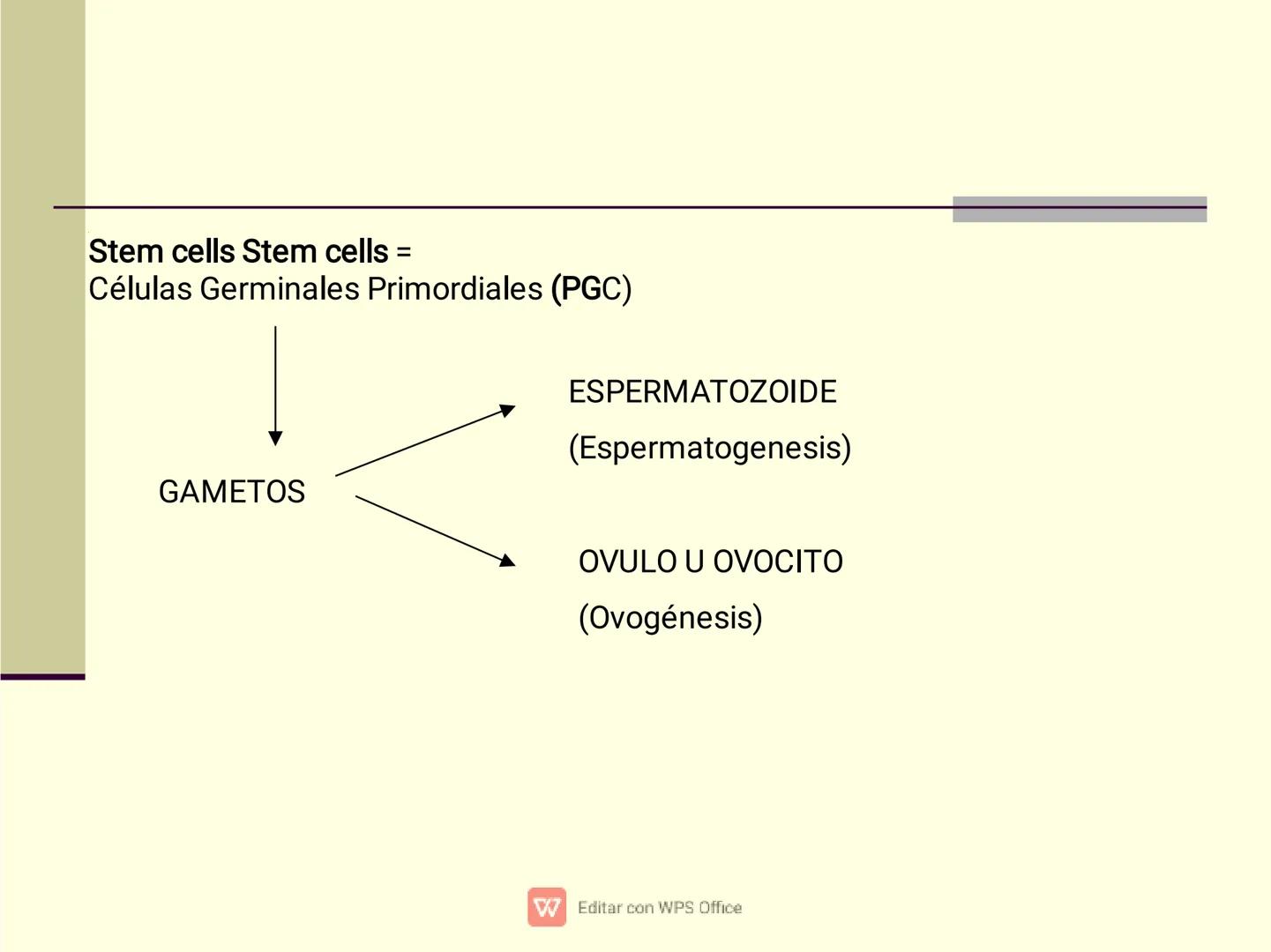 Culpar a los demás es un
truco muy sencillo...
...cuando no quiero asumir la
responsabilidad de mis
propios actos.
✔ Editar con WPS Office U