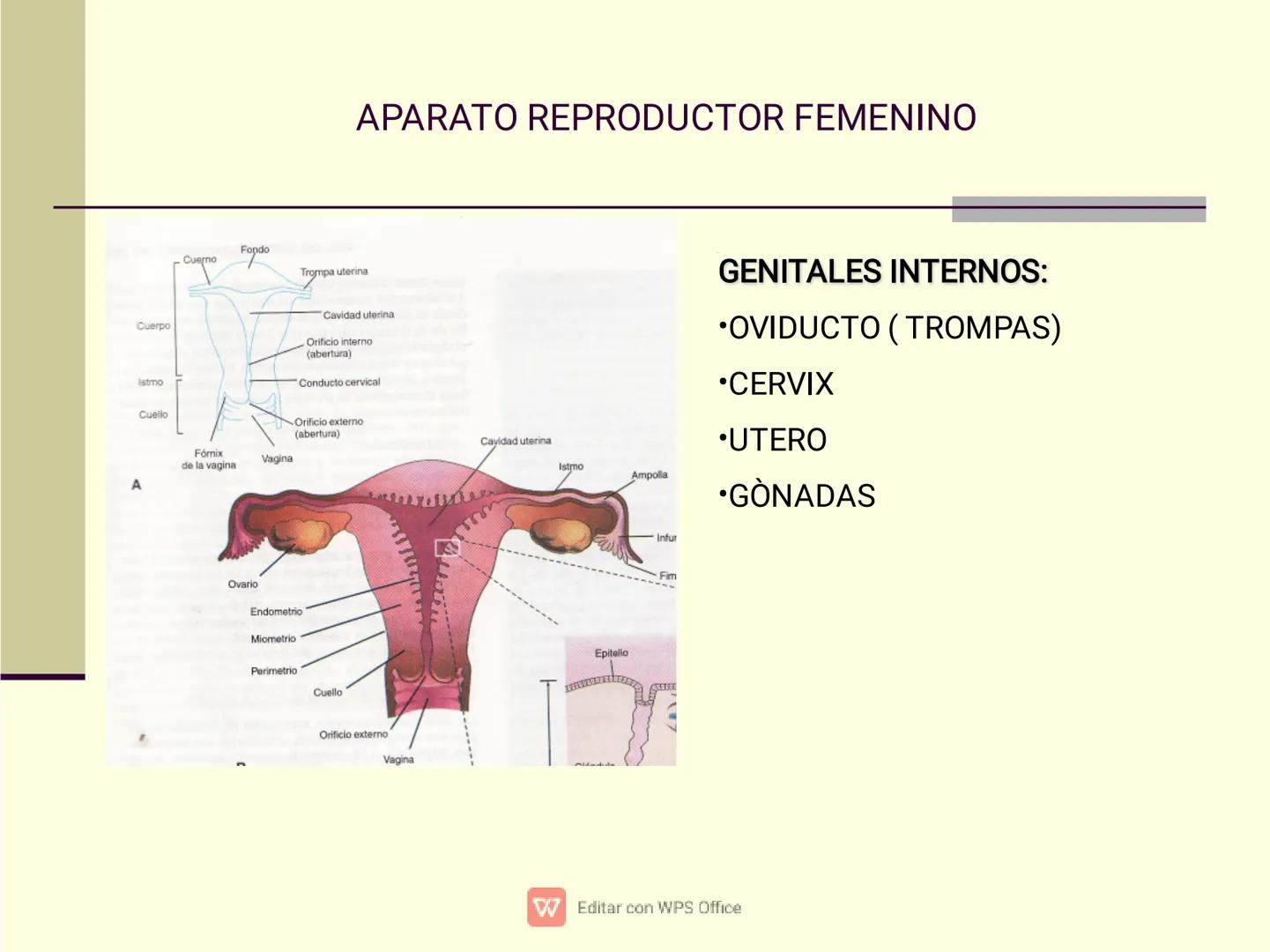 Culpar a los demás es un
truco muy sencillo...
...cuando no quiero asumir la
responsabilidad de mis
propios actos.
✔ Editar con WPS Office U