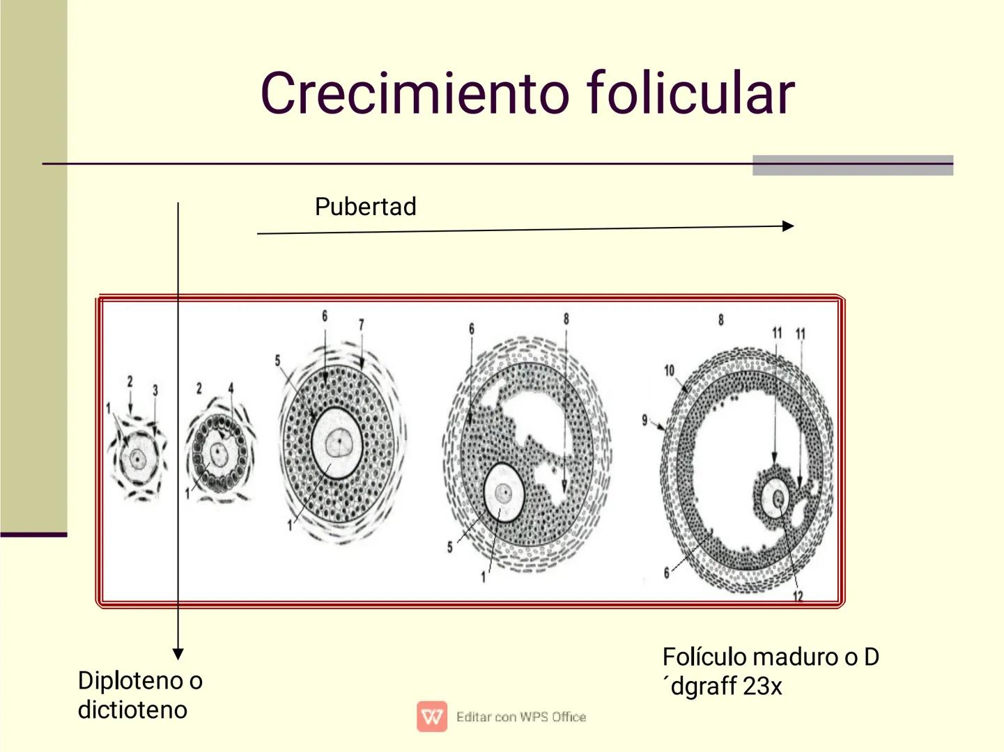Culpar a los demás es un
truco muy sencillo...
...cuando no quiero asumir la
responsabilidad de mis
propios actos.
✔ Editar con WPS Office U