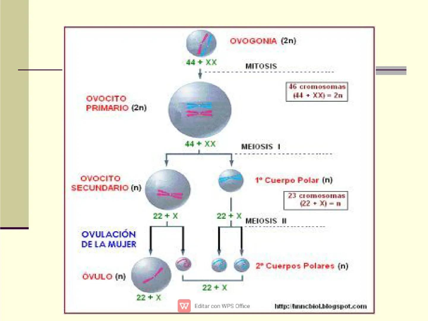 Culpar a los demás es un
truco muy sencillo...
...cuando no quiero asumir la
responsabilidad de mis
propios actos.
✔ Editar con WPS Office U