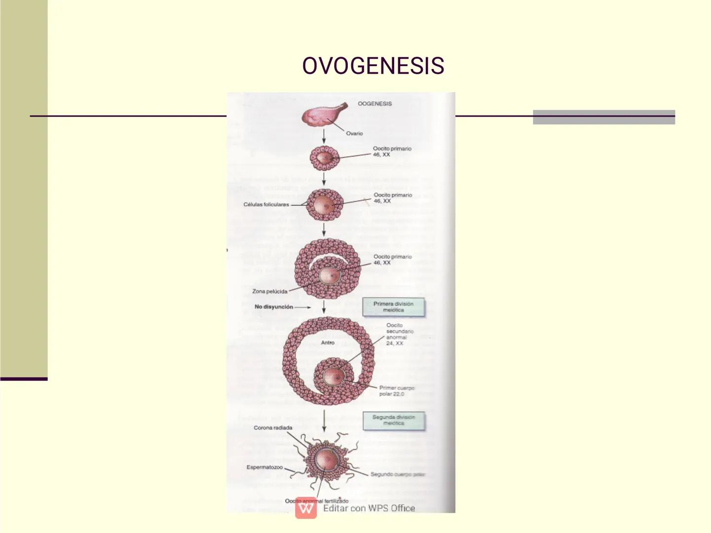Culpar a los demás es un
truco muy sencillo...
...cuando no quiero asumir la
responsabilidad de mis
propios actos.
✔ Editar con WPS Office U
