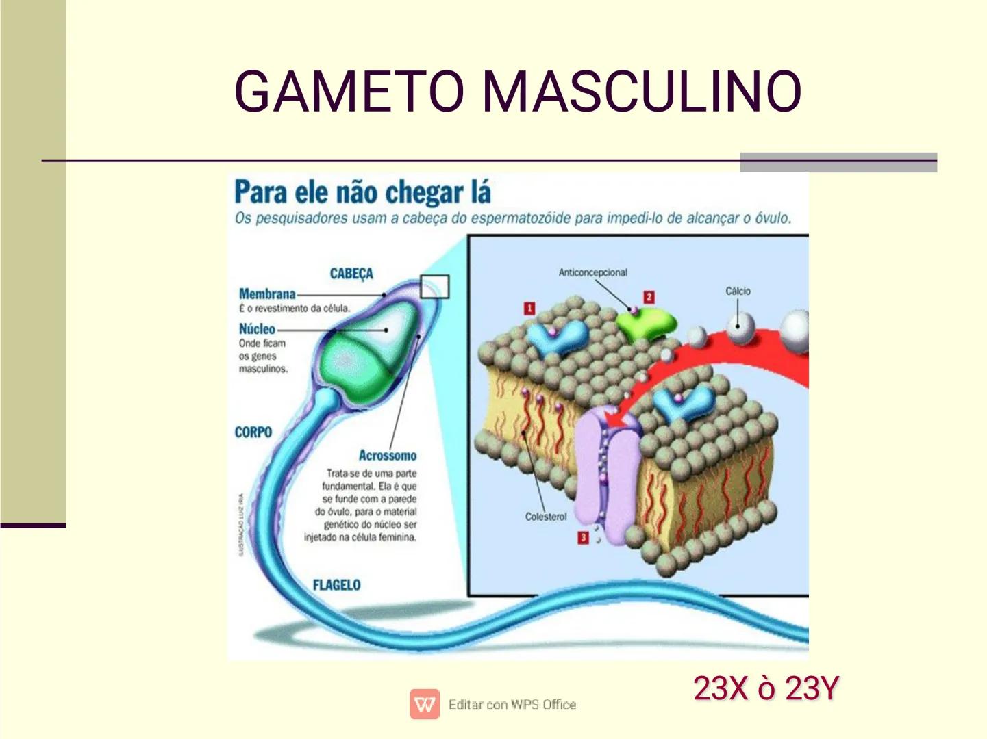 Culpar a los demás es un
truco muy sencillo...
...cuando no quiero asumir la
responsabilidad de mis
propios actos.
✔ Editar con WPS Office U