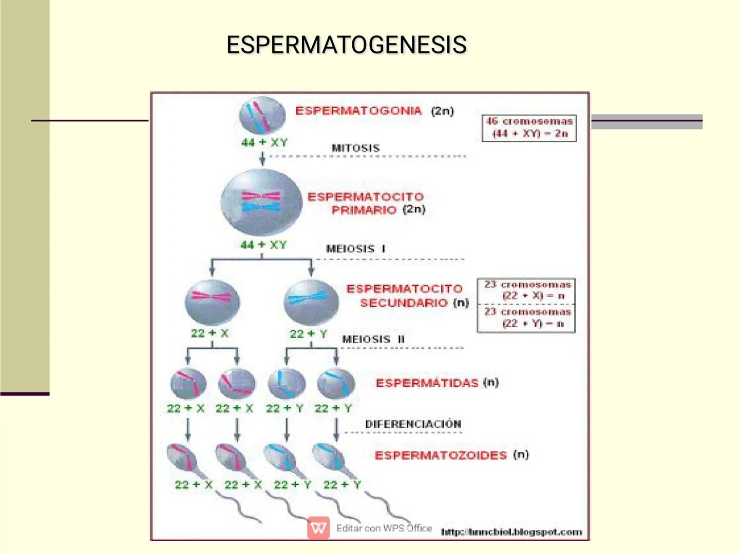 Culpar a los demás es un
truco muy sencillo...
...cuando no quiero asumir la
responsabilidad de mis
propios actos.
✔ Editar con WPS Office U