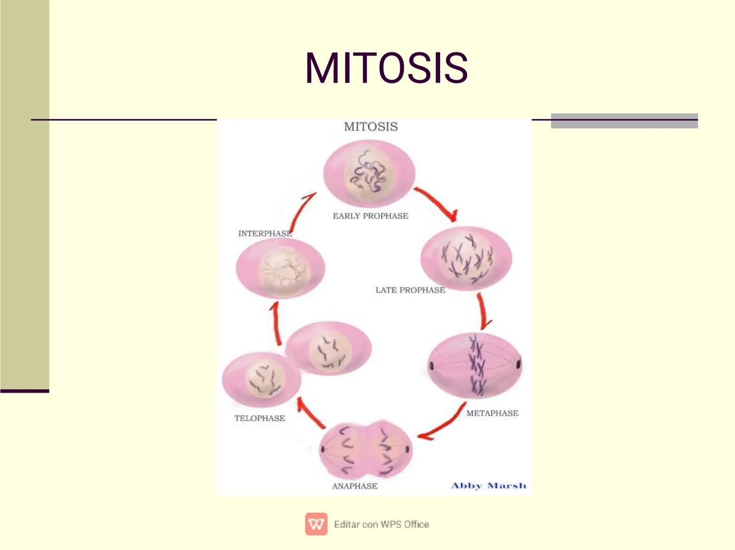 Culpar a los demás es un
truco muy sencillo...
...cuando no quiero asumir la
responsabilidad de mis
propios actos.
✔ Editar con WPS Office U