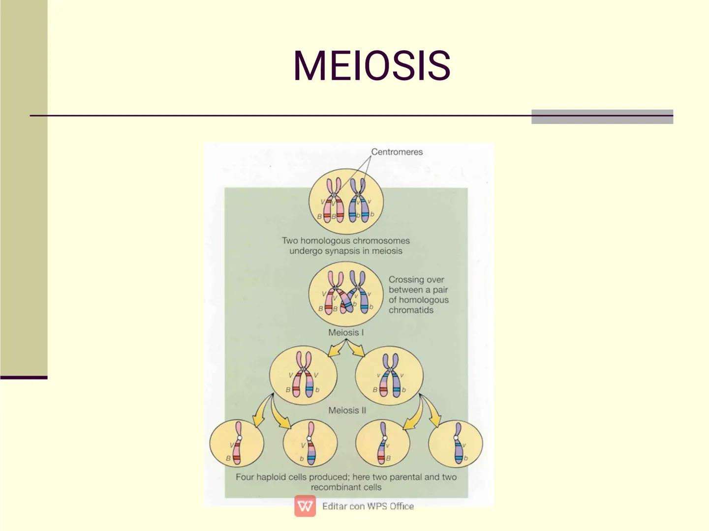 Culpar a los demás es un
truco muy sencillo...
...cuando no quiero asumir la
responsabilidad de mis
propios actos.
✔ Editar con WPS Office U