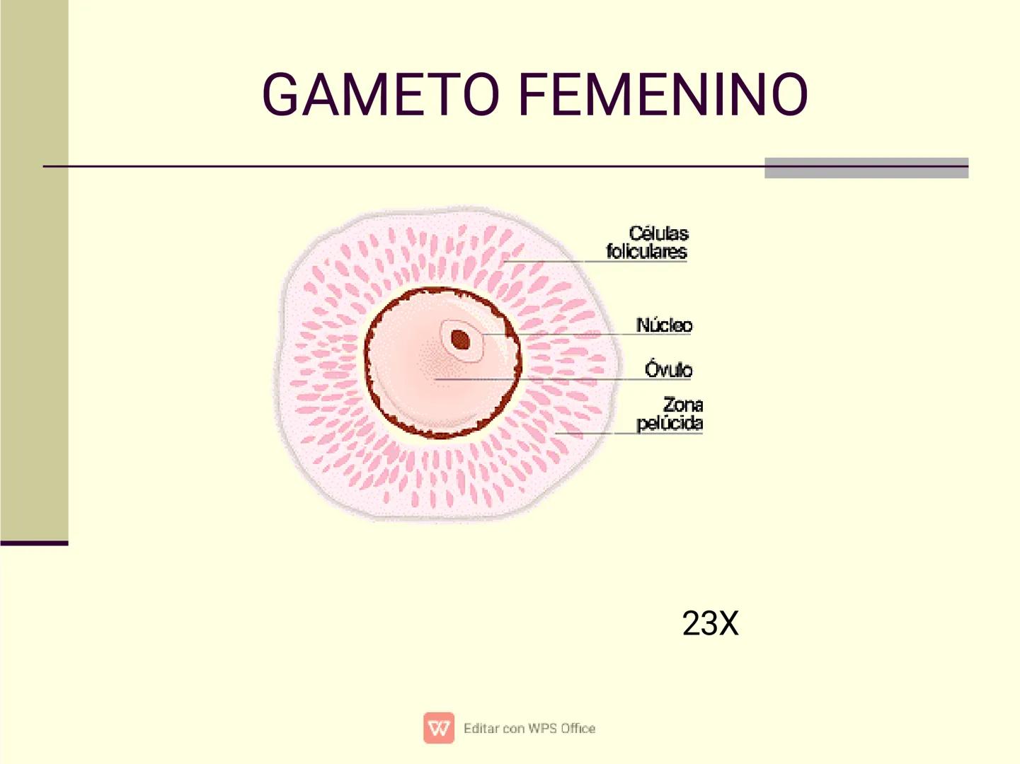 Culpar a los demás es un
truco muy sencillo...
...cuando no quiero asumir la
responsabilidad de mis
propios actos.
✔ Editar con WPS Office U