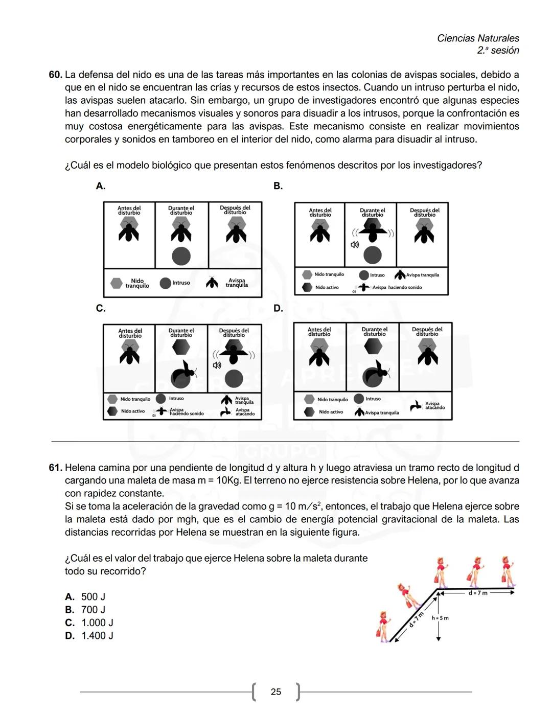 PREICFES GRUPO 500
GRUPO
500
CREER ES APR
SEGUNDA SESIÓN
PRUEBA S-1
No. Total de
Prueba
Preguntas
Tiempo Total
preguntas
Sociales y ciudadan