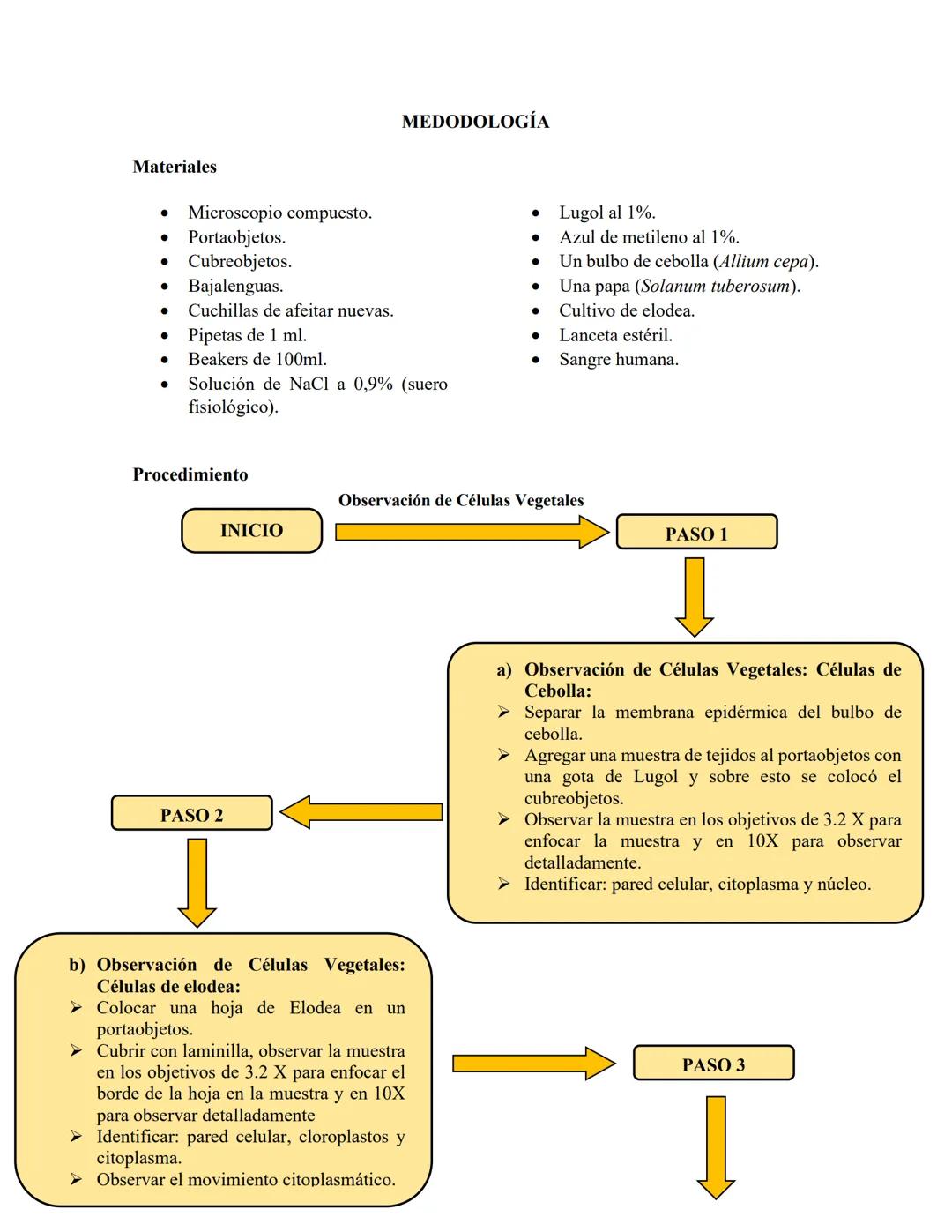 PRÁTICA 7.
MODELO CELULAR
CRISTIAN ARRIETA.
JOSE DAVID MARTINEZ.
EDIL ZABALETA.
DONCENTE: AYDEE SOFIA MUÑOZ NUÑEZ
UNIVERSIDAD DE SUCRE
FACUL