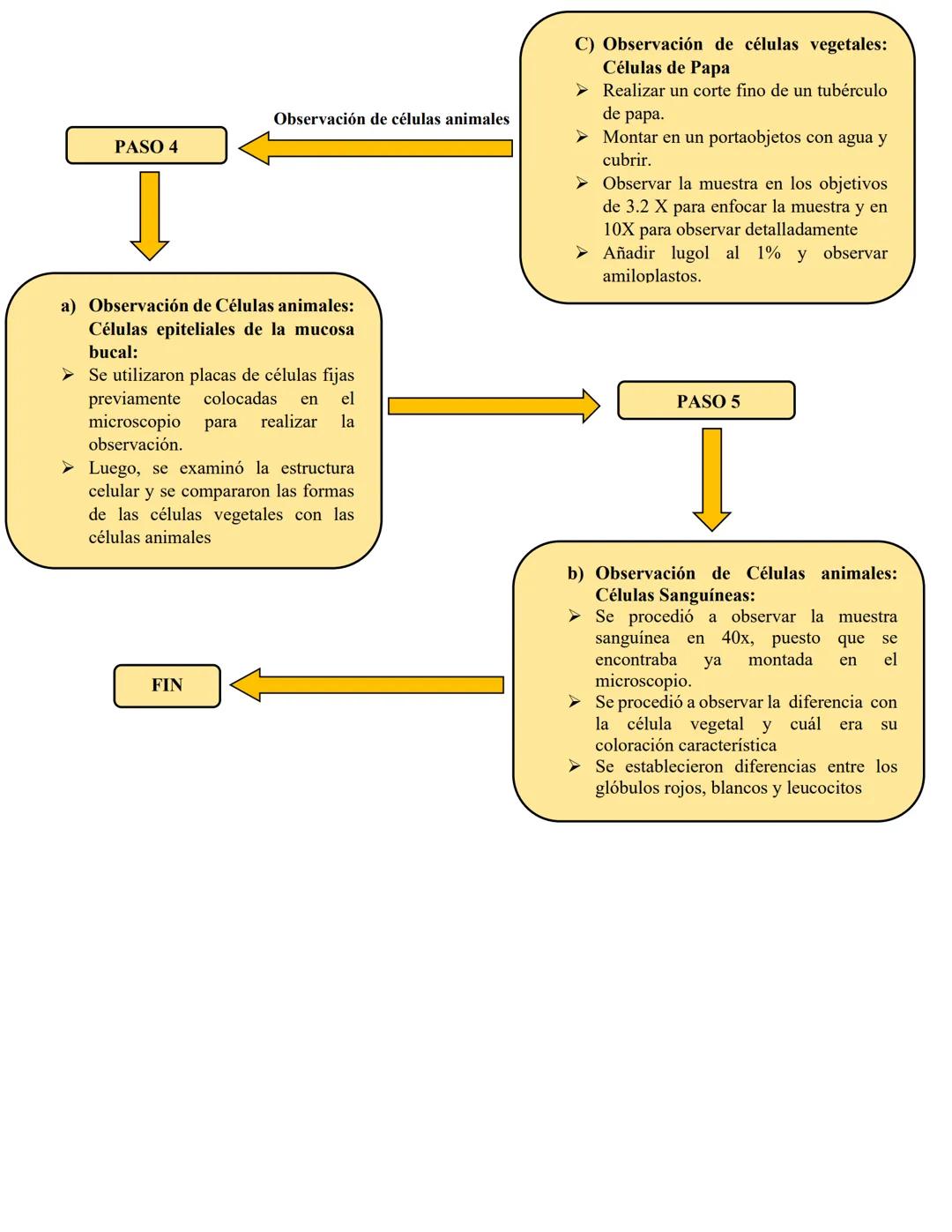 PRÁTICA 7.
MODELO CELULAR
CRISTIAN ARRIETA.
JOSE DAVID MARTINEZ.
EDIL ZABALETA.
DONCENTE: AYDEE SOFIA MUÑOZ NUÑEZ
UNIVERSIDAD DE SUCRE
FACUL