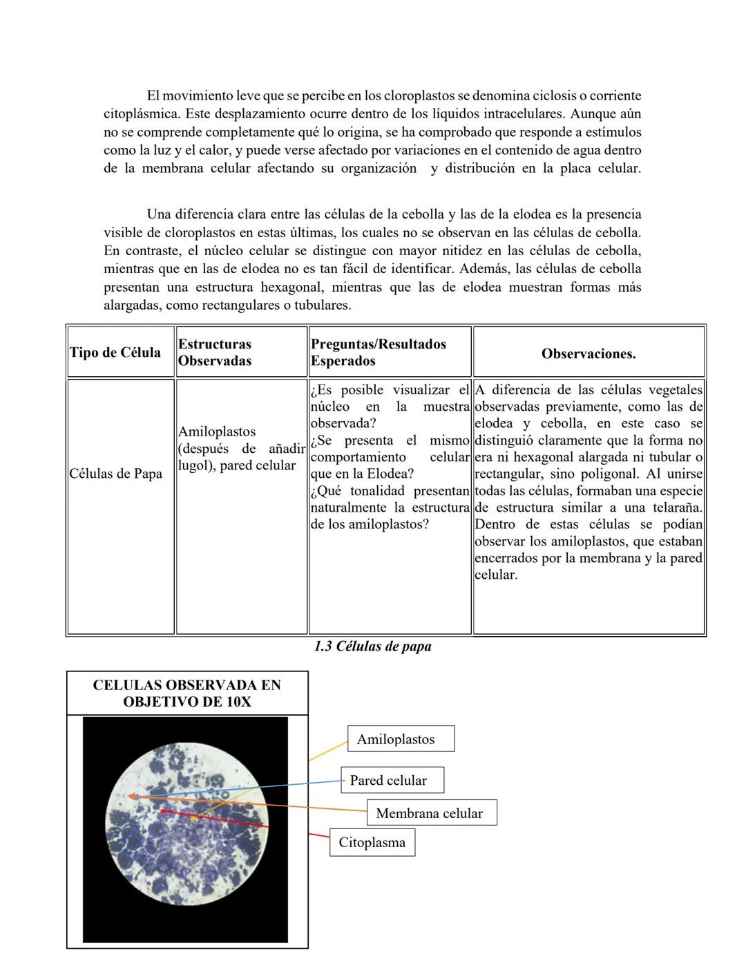 PRÁTICA 7.
MODELO CELULAR
CRISTIAN ARRIETA.
JOSE DAVID MARTINEZ.
EDIL ZABALETA.
DONCENTE: AYDEE SOFIA MUÑOZ NUÑEZ
UNIVERSIDAD DE SUCRE
FACUL