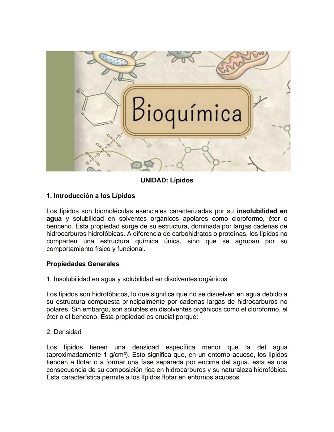 Lipidos Bioquímica
