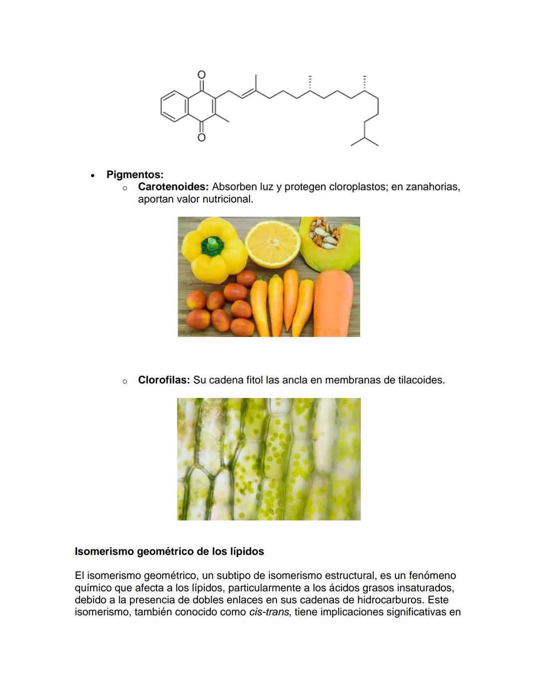 --- OCR Start ---
Bioquímica
1. Introducción a los Lípidos
UNIDAD: Lípidos
Los lípidos son biomoléculas esenciales caracterizadas por su ins