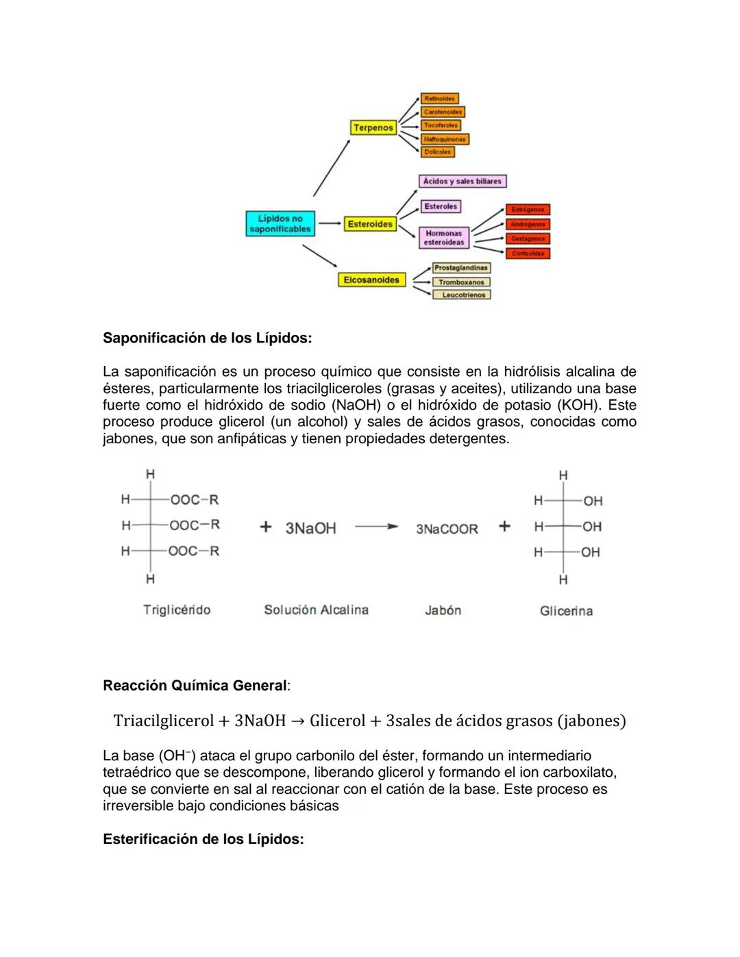 --- OCR Start ---
Bioquímica
1. Introducción a los Lípidos
UNIDAD: Lípidos
Los lípidos son biomoléculas esenciales caracterizadas por su ins