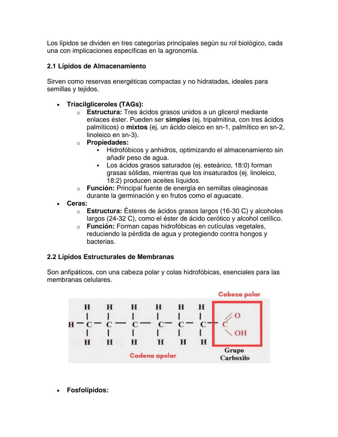 --- OCR Start ---
Bioquímica
1. Introducción a los Lípidos
UNIDAD: Lípidos
Los lípidos son biomoléculas esenciales caracterizadas por su ins