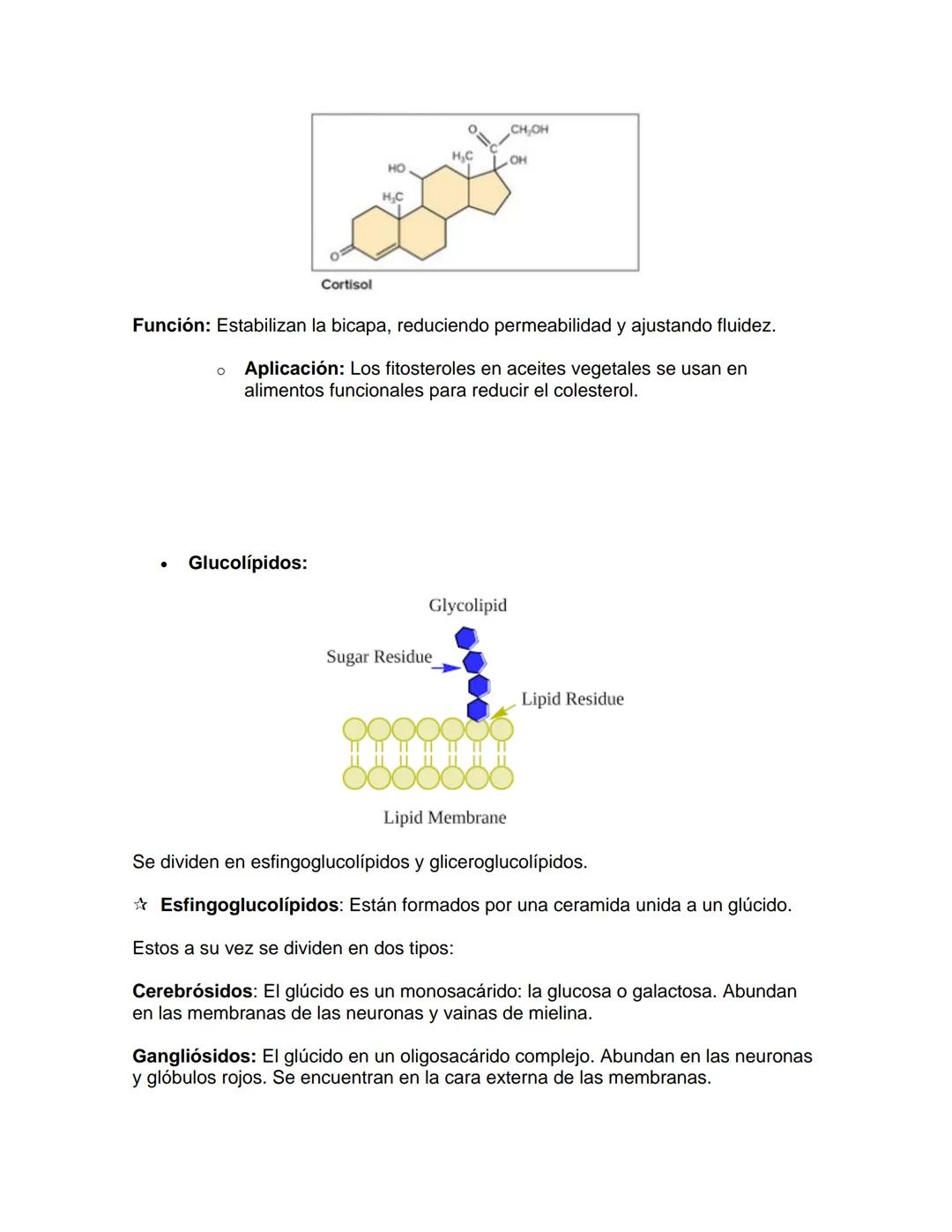 --- OCR Start ---
Bioquímica
1. Introducción a los Lípidos
UNIDAD: Lípidos
Los lípidos son biomoléculas esenciales caracterizadas por su ins