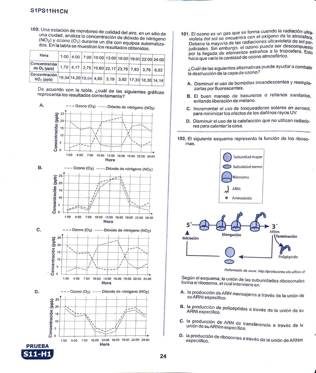 La
Evaluación
PRUEBA
S11-H1
Evaluación por Desempeño en Competencias
Primera sesión
En el siguiente cuadro se muestran las pruebas que confo