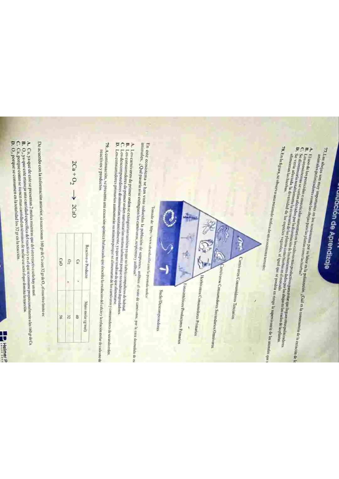 LE
INGlés
Los siguientes son los sustantivos que rio se pueden contar en ingles. Hay muchos mas sustantivos o cosa
que tampoco se pueden con