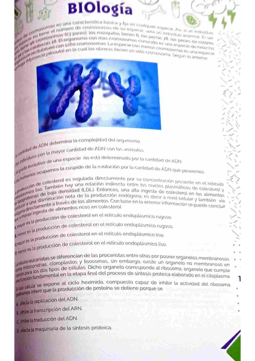 LE
INGlés
Los siguientes son los sustantivos que rio se pueden contar en ingles. Hay muchos mas sustantivos o cosa
que tampoco se pueden con