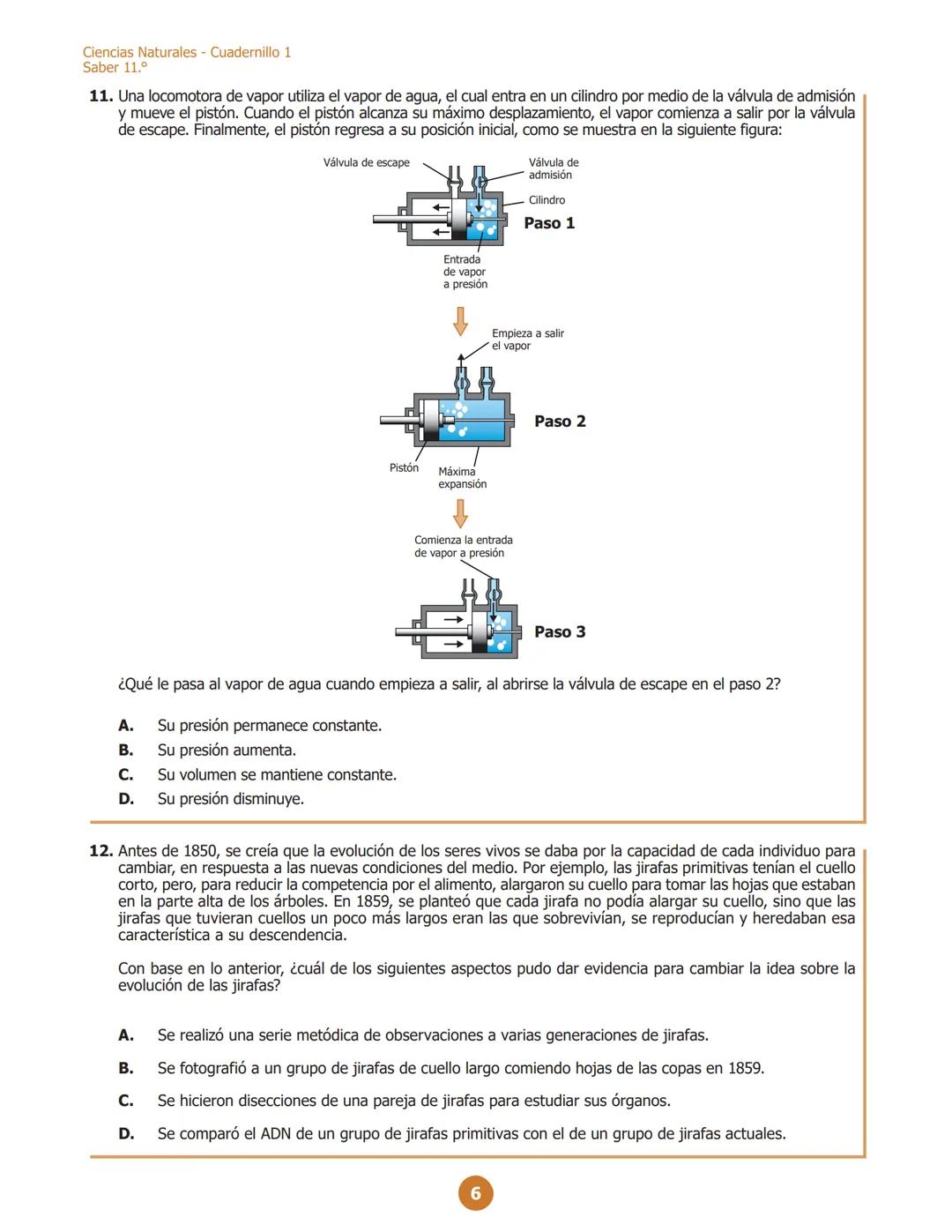 La educación
es de todos
Mineducación
G11.C.C
C111
Ciencias Naturales
Cuadernillo 1 2022
11.°
GRADO
07
¡Hola!
Queremos agradecer tu particip