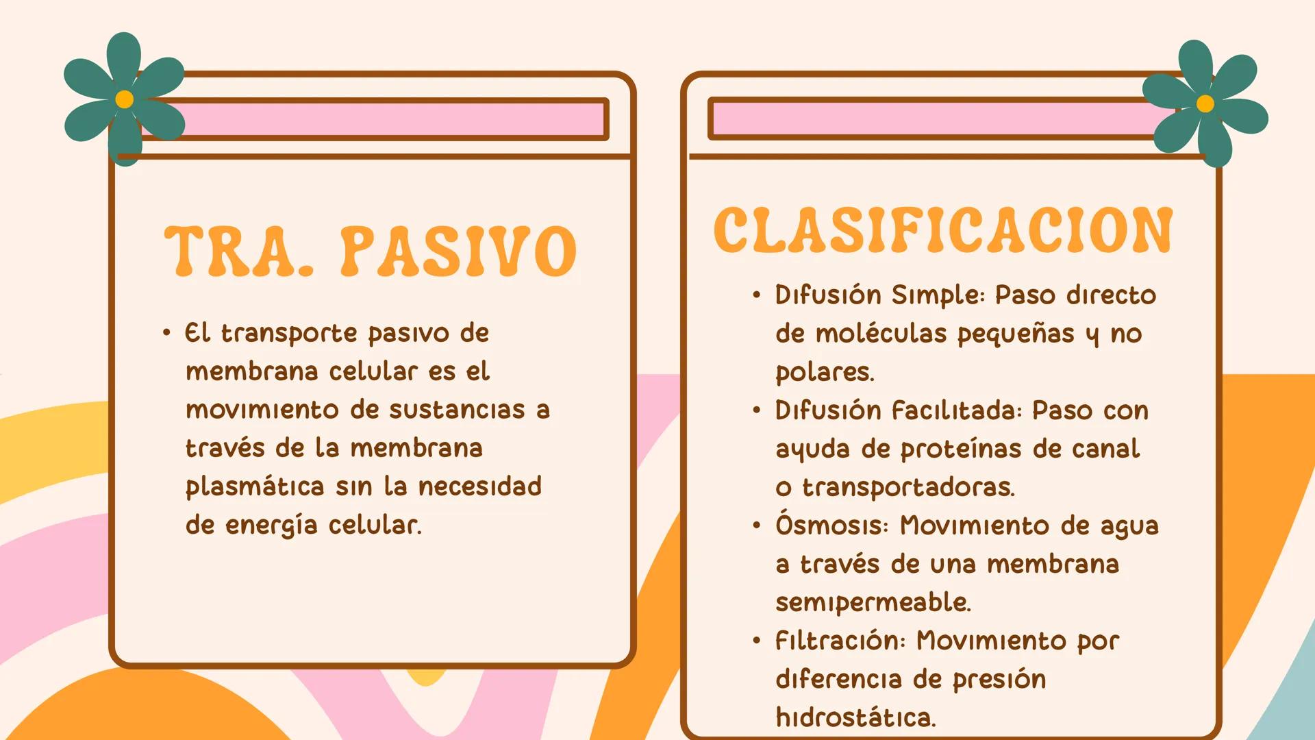 Mayo 2025
ÓSMOSIS: EL
FLUJO DE AGUA A
TRAVÉS DE UNA
MEMBRANA
Angie Ascanio INTRODUCCIÓN
La ósmosis es el movimiento neto de moléculas de
agu