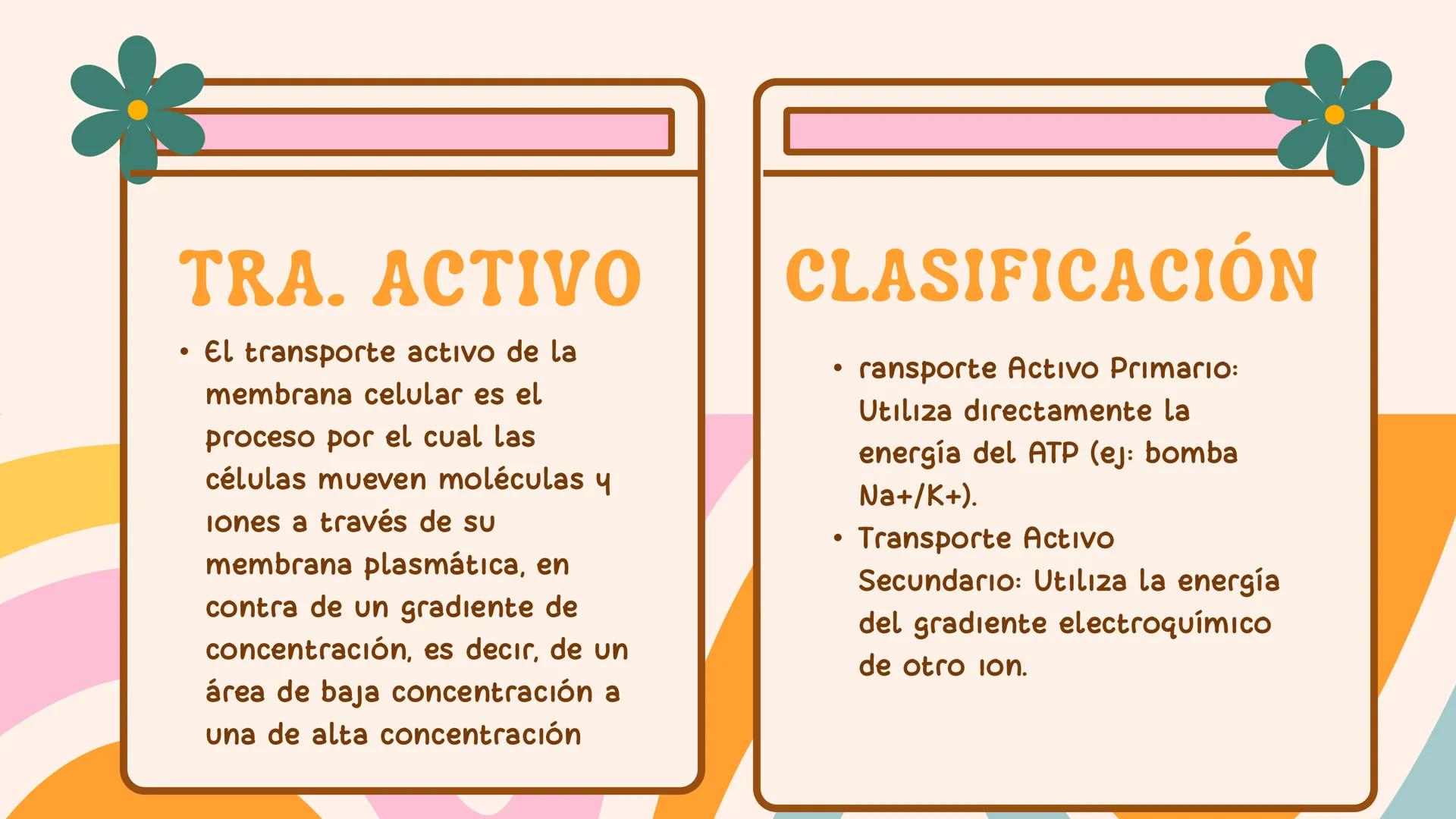 Mayo 2025
ÓSMOSIS: EL
FLUJO DE AGUA A
TRAVÉS DE UNA
MEMBRANA
Angie Ascanio INTRODUCCIÓN
La ósmosis es el movimiento neto de moléculas de
agu