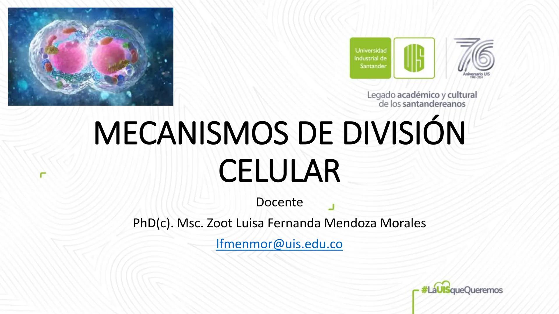 Universidad
Industrial de
Santander
76
Aniversario UIS
1948-2024
Legado académico y cultural
de los santandereanos
MECANISMOS DE DIVISIÓN
CE