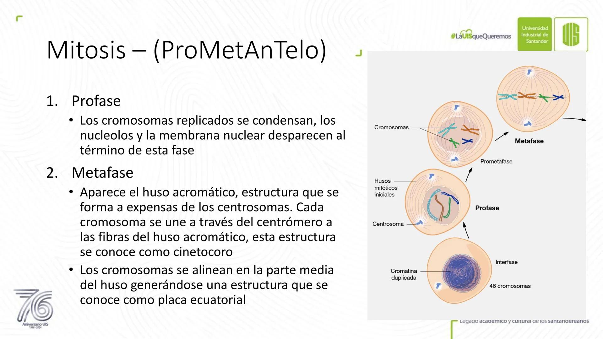 Universidad
Industrial de
Santander
76
Aniversario UIS
1948-2024
Legado académico y cultural
de los santandereanos
MECANISMOS DE DIVISIÓN
CE
