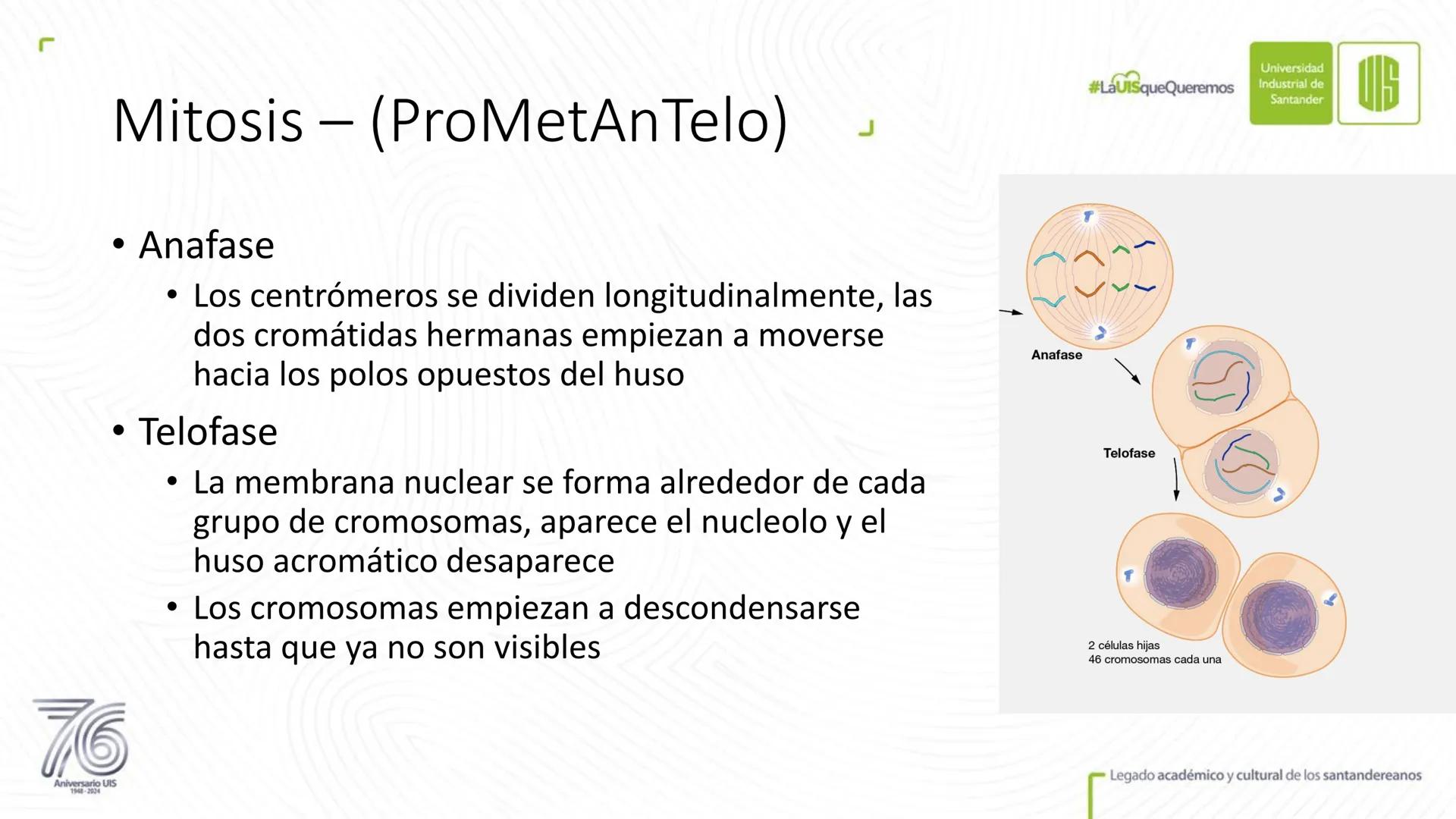 Universidad
Industrial de
Santander
76
Aniversario UIS
1948-2024
Legado académico y cultural
de los santandereanos
MECANISMOS DE DIVISIÓN
CE