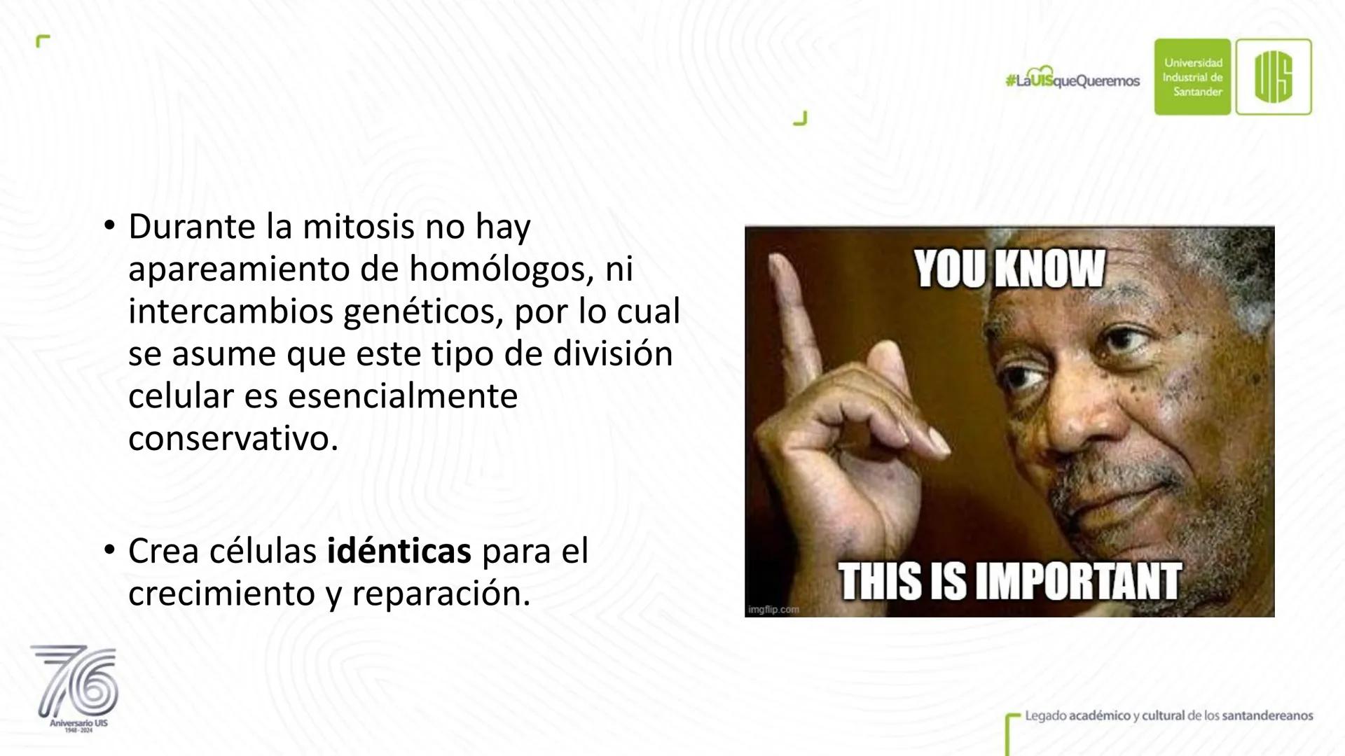 Universidad
Industrial de
Santander
76
Aniversario UIS
1948-2024
Legado académico y cultural
de los santandereanos
MECANISMOS DE DIVISIÓN
CE