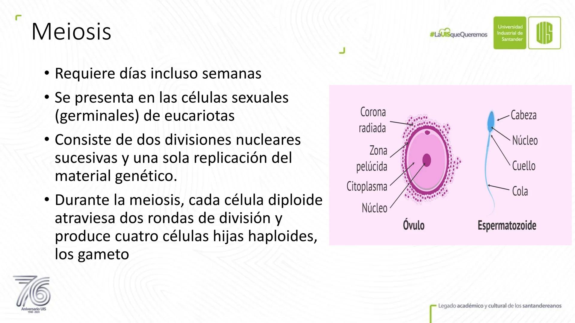 Universidad
Industrial de
Santander
76
Aniversario UIS
1948-2024
Legado académico y cultural
de los santandereanos
MECANISMOS DE DIVISIÓN
CE