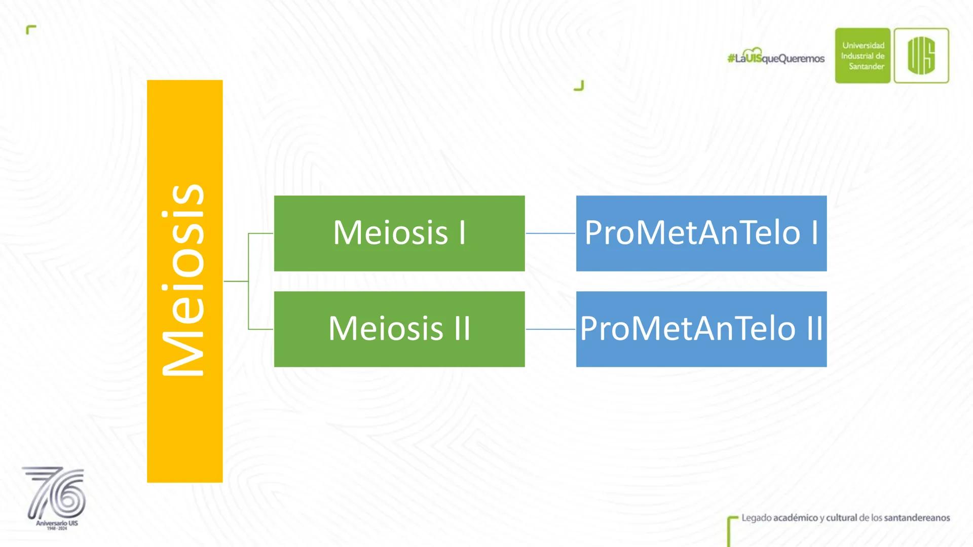 Universidad
Industrial de
Santander
76
Aniversario UIS
1948-2024
Legado académico y cultural
de los santandereanos
MECANISMOS DE DIVISIÓN
CE