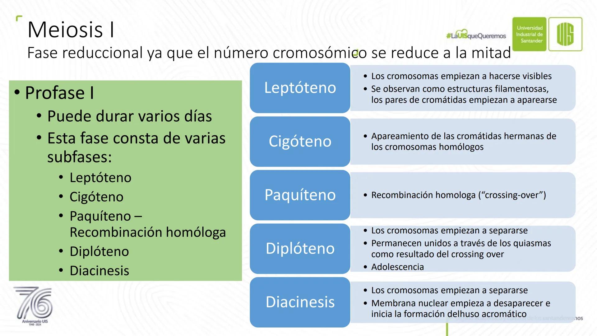Universidad
Industrial de
Santander
76
Aniversario UIS
1948-2024
Legado académico y cultural
de los santandereanos
MECANISMOS DE DIVISIÓN
CE