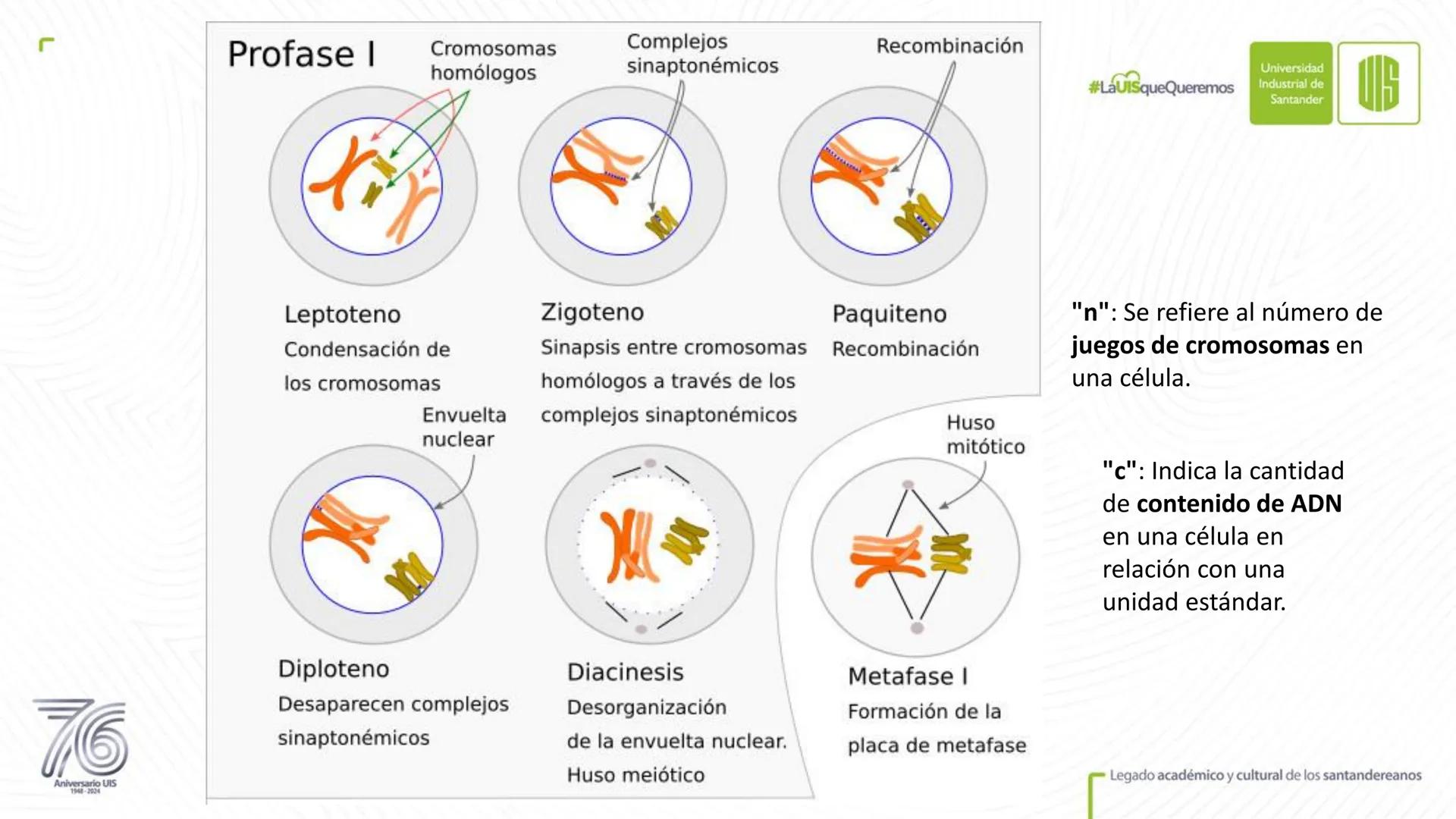 Universidad
Industrial de
Santander
76
Aniversario UIS
1948-2024
Legado académico y cultural
de los santandereanos
MECANISMOS DE DIVISIÓN
CE