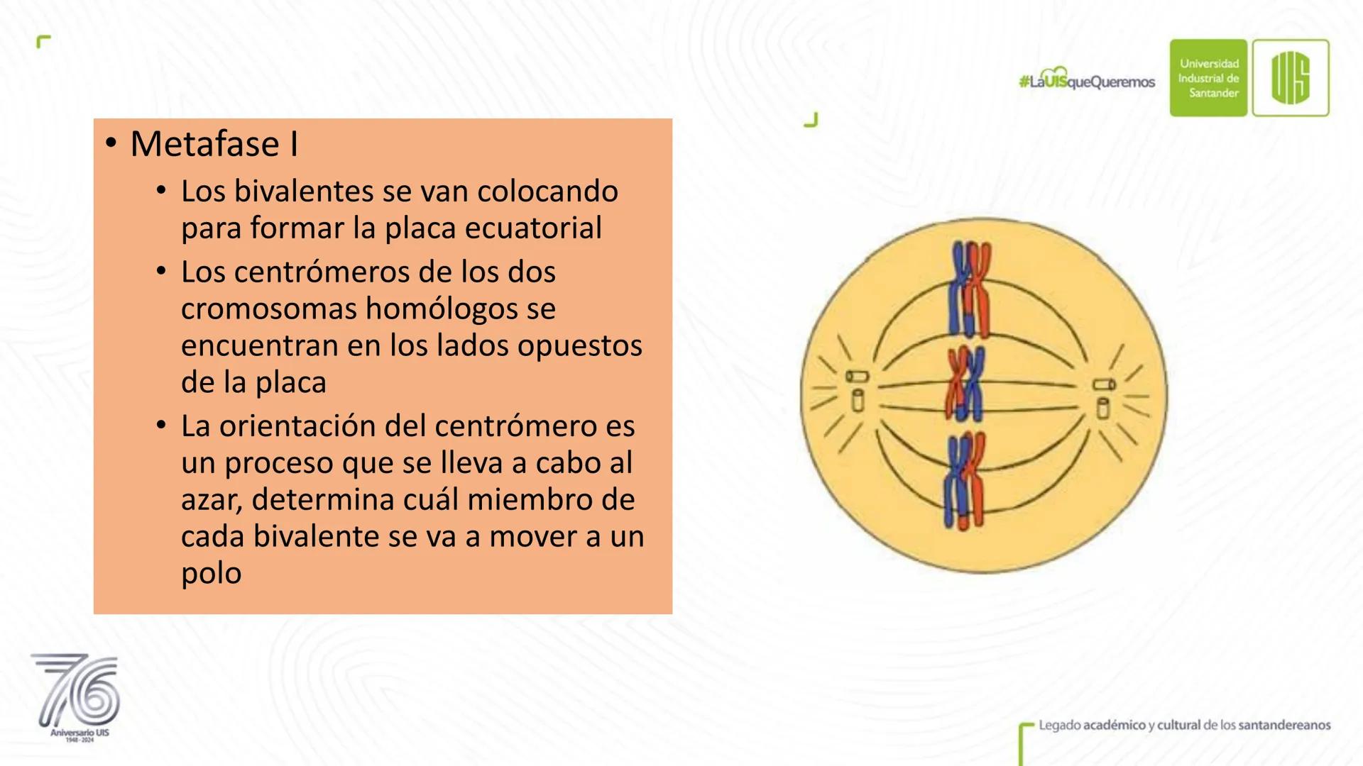 Universidad
Industrial de
Santander
76
Aniversario UIS
1948-2024
Legado académico y cultural
de los santandereanos
MECANISMOS DE DIVISIÓN
CE