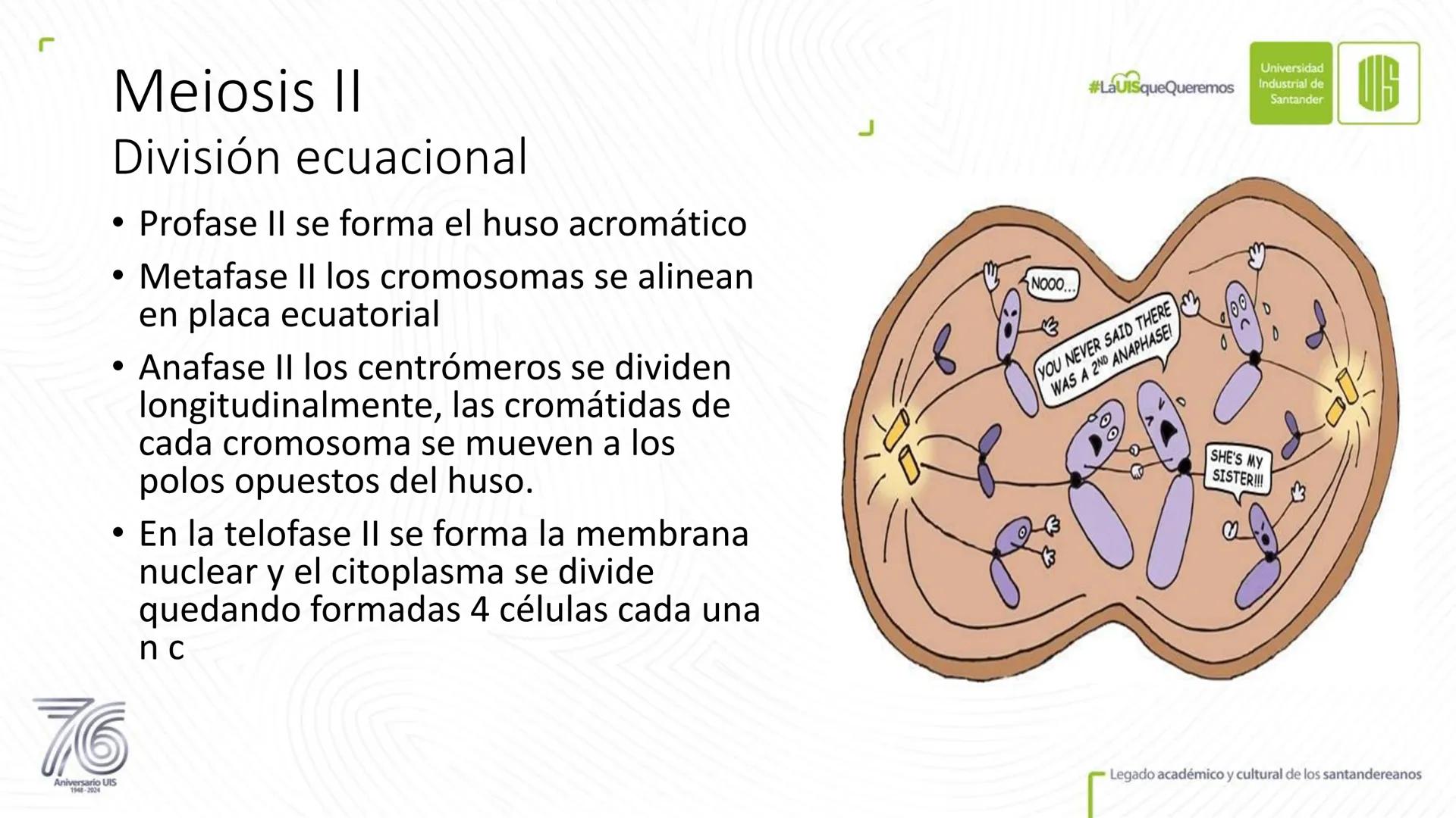 Universidad
Industrial de
Santander
76
Aniversario UIS
1948-2024
Legado académico y cultural
de los santandereanos
MECANISMOS DE DIVISIÓN
CE