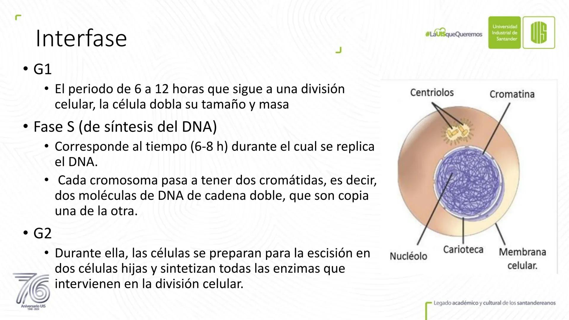 Universidad
Industrial de
Santander
76
Aniversario UIS
1948-2024
Legado académico y cultural
de los santandereanos
MECANISMOS DE DIVISIÓN
CE