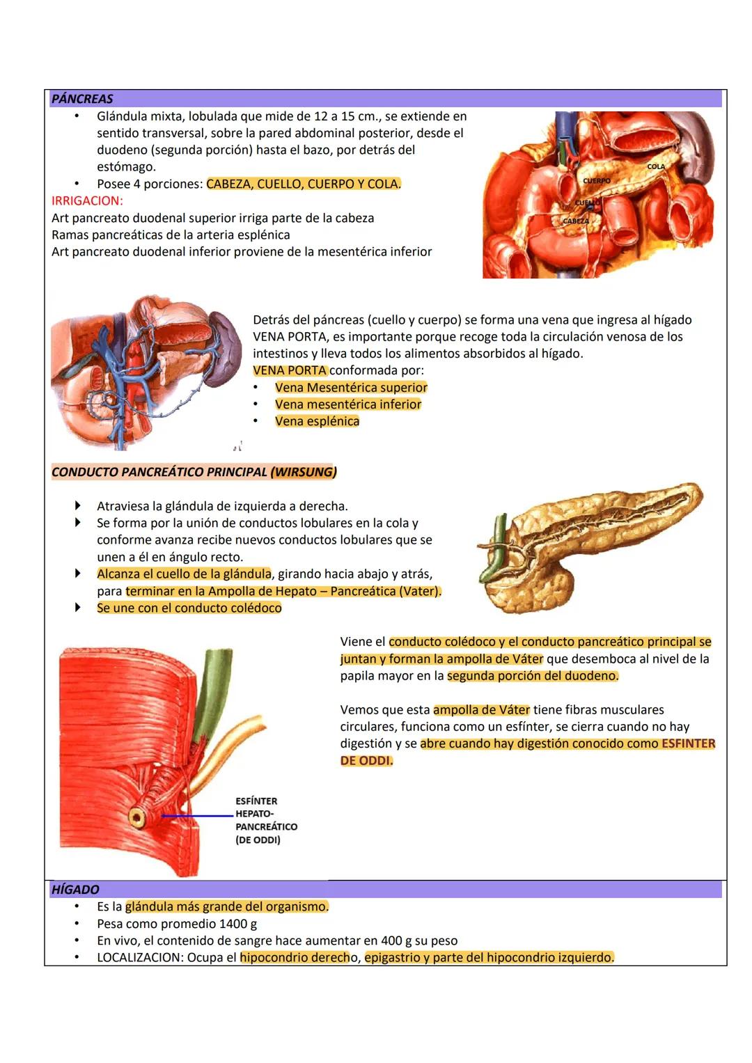 --- OCR Start ---
PARED ABDOMINAL Y ABDOMEN SUPERIOR
PARED ANTEROLATERAL
DEL ABDOMEN
PARTE TOPOGRÁFICA DEL ABDOMEN
Tenemos:
Reborde costal
L