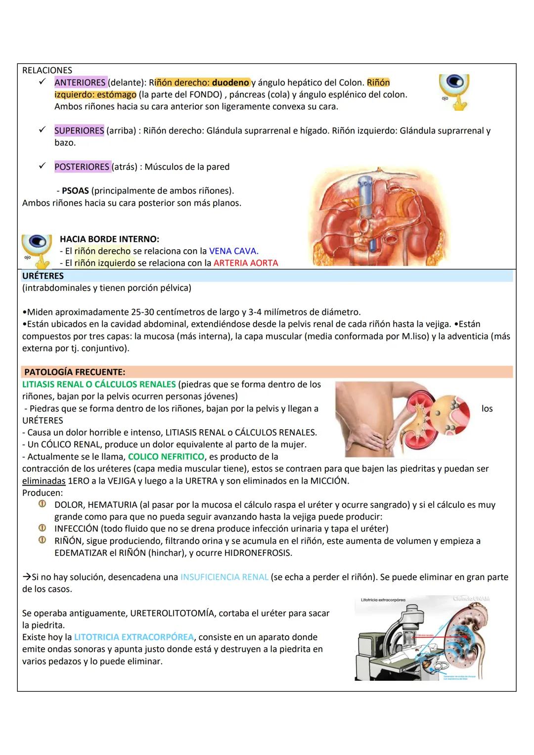 --- OCR Start ---
RETROPERITOΝΕΟ
LÍMITES DE LA PARED PÓSTERO-LATERAL DEL ABDOMEN
SUPERIOR: Borde inferior de 10°-12° costilla.
INFERIOR: Cre